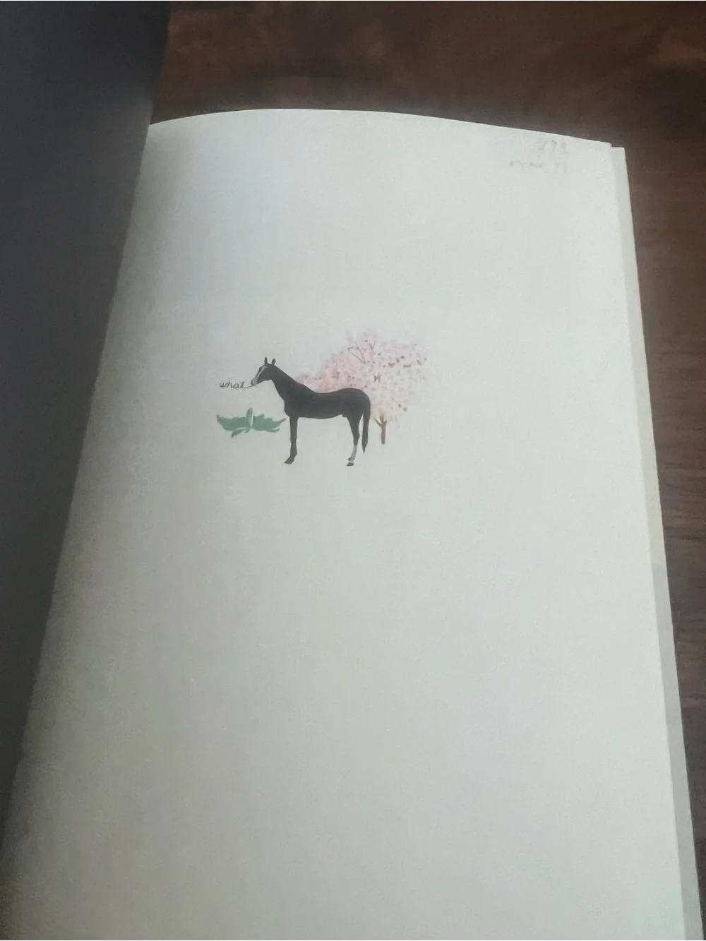 Mcsweeney collectible 25